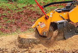 Best Lawn Watering Services  in Squaw Valley, CA